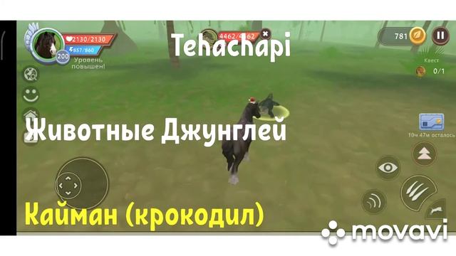 Обновление в WildCraft. ?? смотреть онлайн