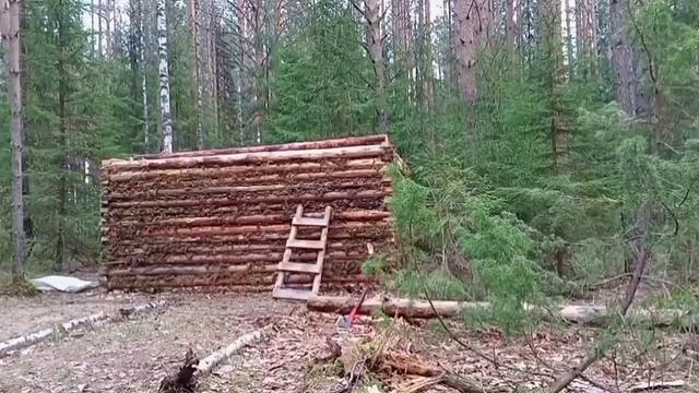 Как сделать ИЗБУ? Дом из лесного мусора ЭТО РЕАЛЬНО! Валежник в деле. смотреть онлайн