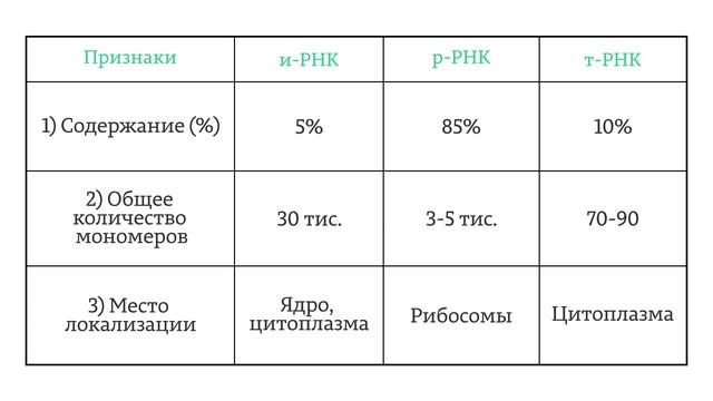 ЕГЭ. Биология. 3.4. РНК и их типы. АТФ, понятие о макроэргической связи. смотреть онлайн