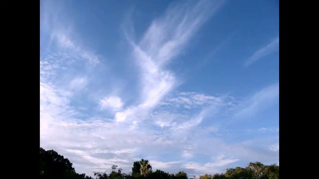 Проекта "Живая Земля - наш общий Дом" на Бумстартере смотреть онлайн