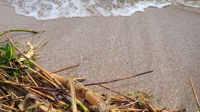 Экологическая катастрофа - Потопленные дома, вырванные с корнем деревья, уставшие лягушки в Одессе смотреть онлайн