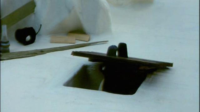 Pingu - Pingu Forever!