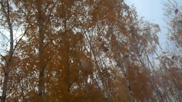 день белых журавлей смотреть онлайн