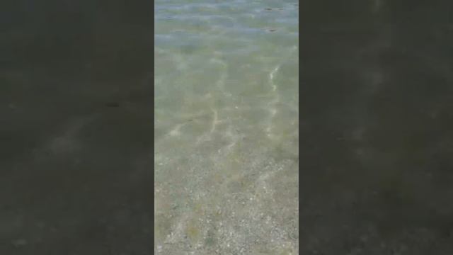 Чёрное море??⛱ Железный порт 2020???