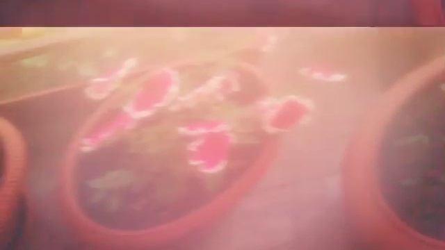 Фото моего двора. смотреть онлайн