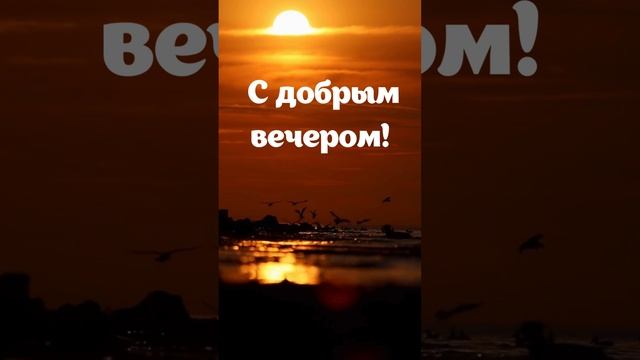 Видео поздравление с добрым вечером | SunPikRu смотреть онлайн