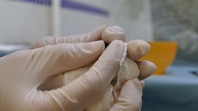 Выкармливание стрижа. Как кормить и поить стрижа. смотреть онлайн