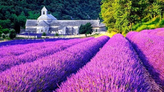 ДЛЯ НАСТРОЕНИЯ смотреть онлайн