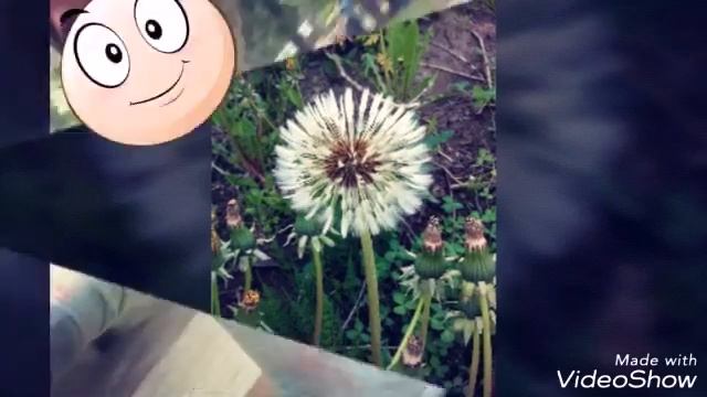 Мои фото с праздника красок смотреть онлайн