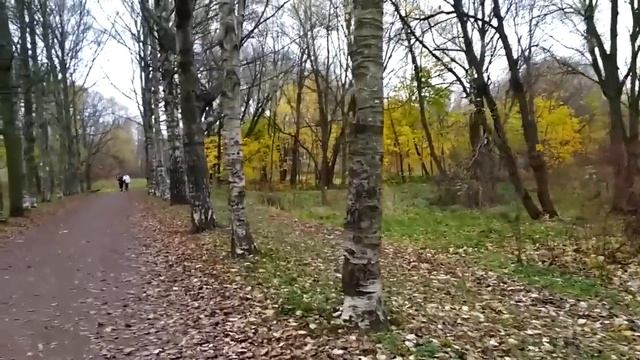 Полежаевский парк, юго-запад Петербурга | ноябрь 2020 смотреть онлайн