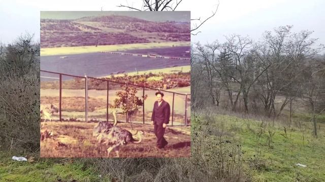 Ночь, метель,мороз - жена согласилась прокатиться вдвоем ? смотреть онлайн