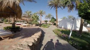 отзыв beach albatros sharm