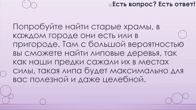 Когда цветёт липа? [207] смотреть онлайн