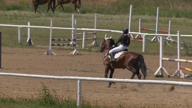 H2320020 смотреть онлайн