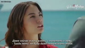 Ранняя пташка отрывок