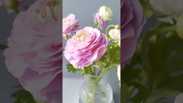 Ранункулюсы из полимерной глины. смотреть онлайн