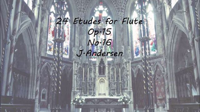 24 Etudes for flute Op.15 No.16/J.Andersen смотреть онлайн