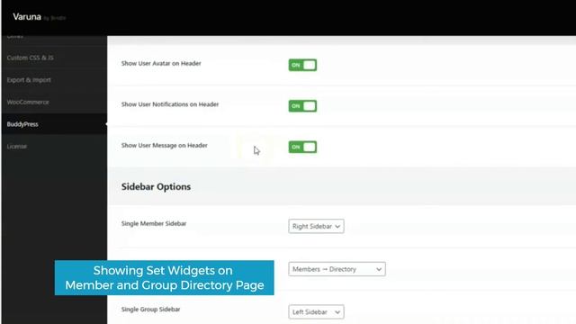 How to Setup Theme BuddyPress Sidebar & Header Option Varuna WordPress MultiPurpose Community Theme смотреть онлайн