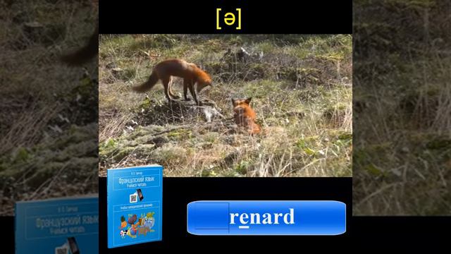 Задание E 1-2 / Ганчар Н.П. Французский язык Учимся читать смотреть онлайн