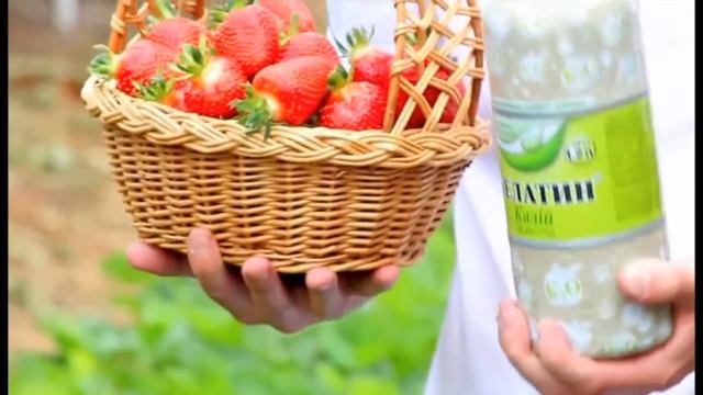 Удобрение Хелатин для клубники смотреть онлайн