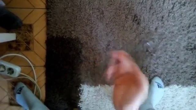 Крутим бабочку смотреть онлайн