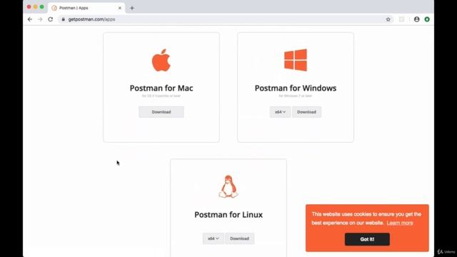 Installing the Postman Desktop App in Next.js смотреть онлайн