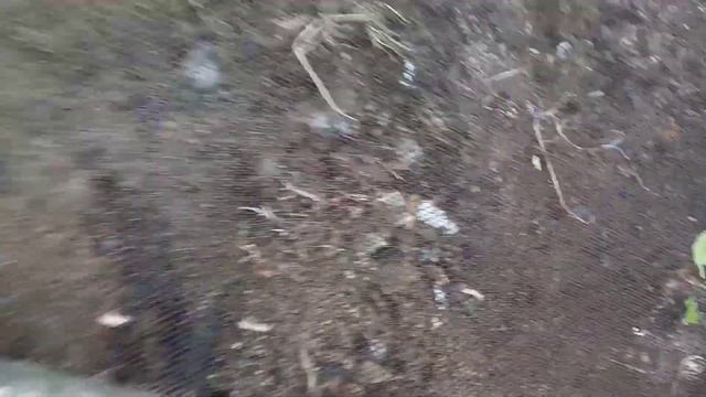 Бонус от отопления "халявой": добываем железо из золы после отопления "дровами с помойки" смотреть онлайн