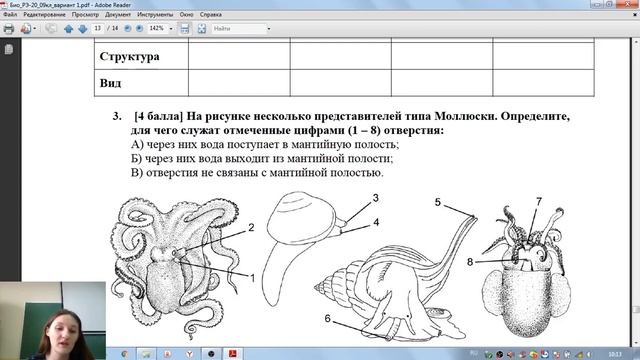 ВсОШ. Разбор заданий по биологии 1й тур 9 класс. к.б.н. М.А. Козуб смотреть онлайн