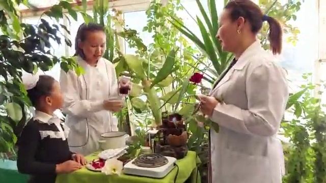 "Жылыжайда гүл өсіру және парфюмерия кәсібіна баулу әдістері" - Кемалова Саясат смотреть онлайн