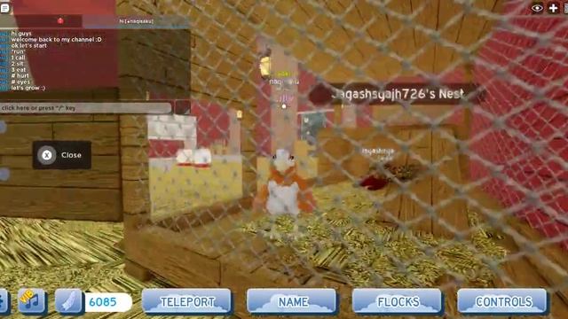 Roblox feather family [Kookaburra] смотреть онлайн