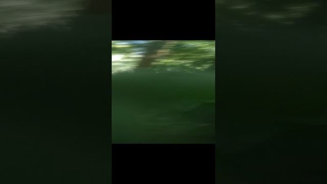 VID20240713132126.mp4 смотреть онлайн