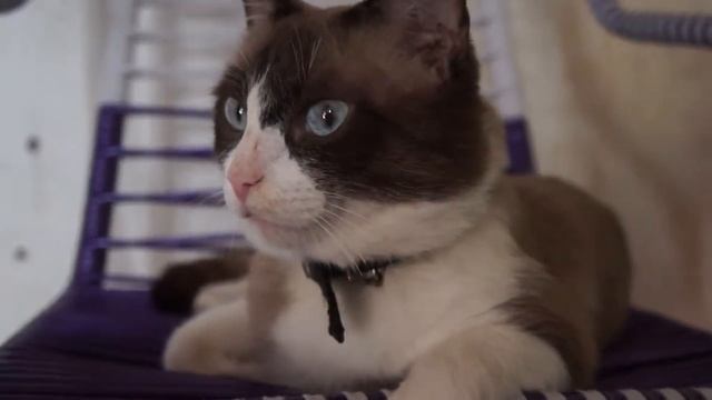 Teste Com A Câmera Sony NEX C3 Sem Edição