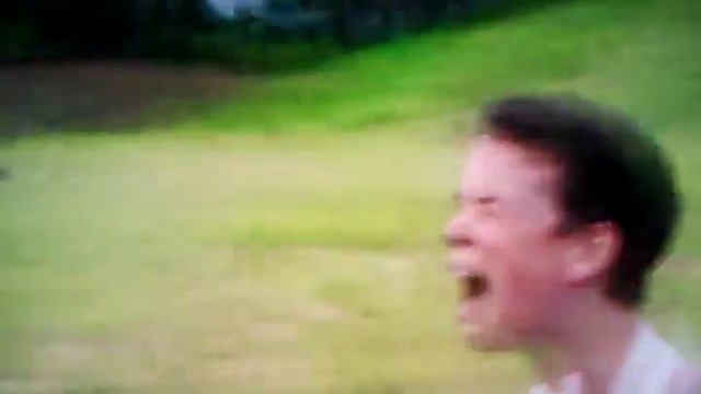 Паук укусил за яйца