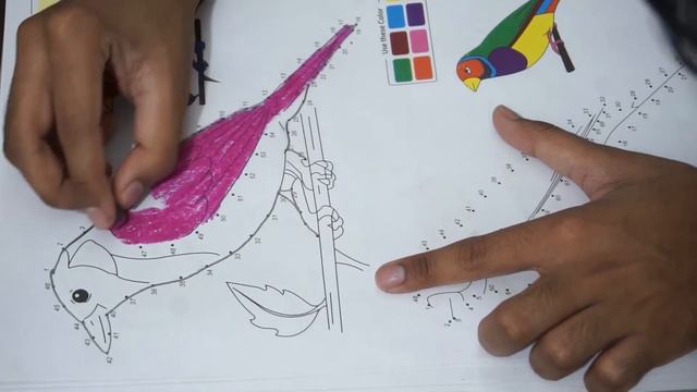 Cute Pink Bird Coloring - Coloring For Kids- Angry Birds. Pink Bird Stella Coloring For Kids смотреть онлайн