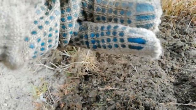 Первый опыт пляжного копа смотреть онлайн