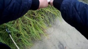 Кумжа 2020.Ловля Кумжи на Кольском Полуострове. Рыбалка в Мурманске на Кумжу. Рыбалка 2020. Осень.