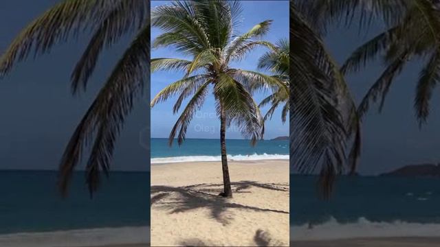 Венесуэла. Venezuela. 委内瑞拉。 смотреть онлайн