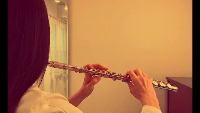 紫苑 / Saucy Dog【フルートで演奏してみた(1コーラス)】映画『君を愛したひとりの僕へ』主題歌 "Shion" サウシードッグ смотреть онлайн