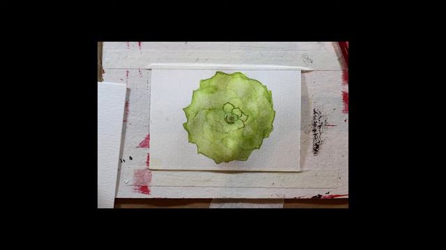 suculenta aquarela / stop motion succulent смотреть онлайн