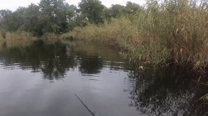 Щука на джерк 120мм кастинговая ловля