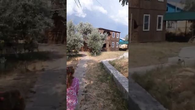 Большевик . Приморское . Херсонская область смотреть онлайн