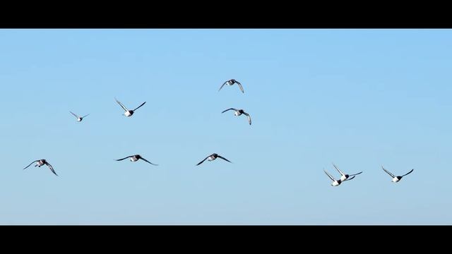 Аландские острова: опыт многодневного морского похода на байдарке смотреть онлайн