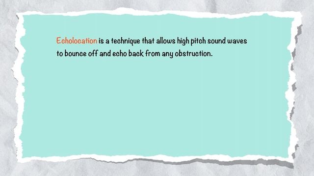 Irrawaddy Dolphins of Odisha смотреть онлайн