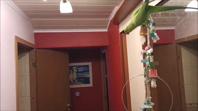 Виикааа пришлаааа!!!! смотреть онлайн