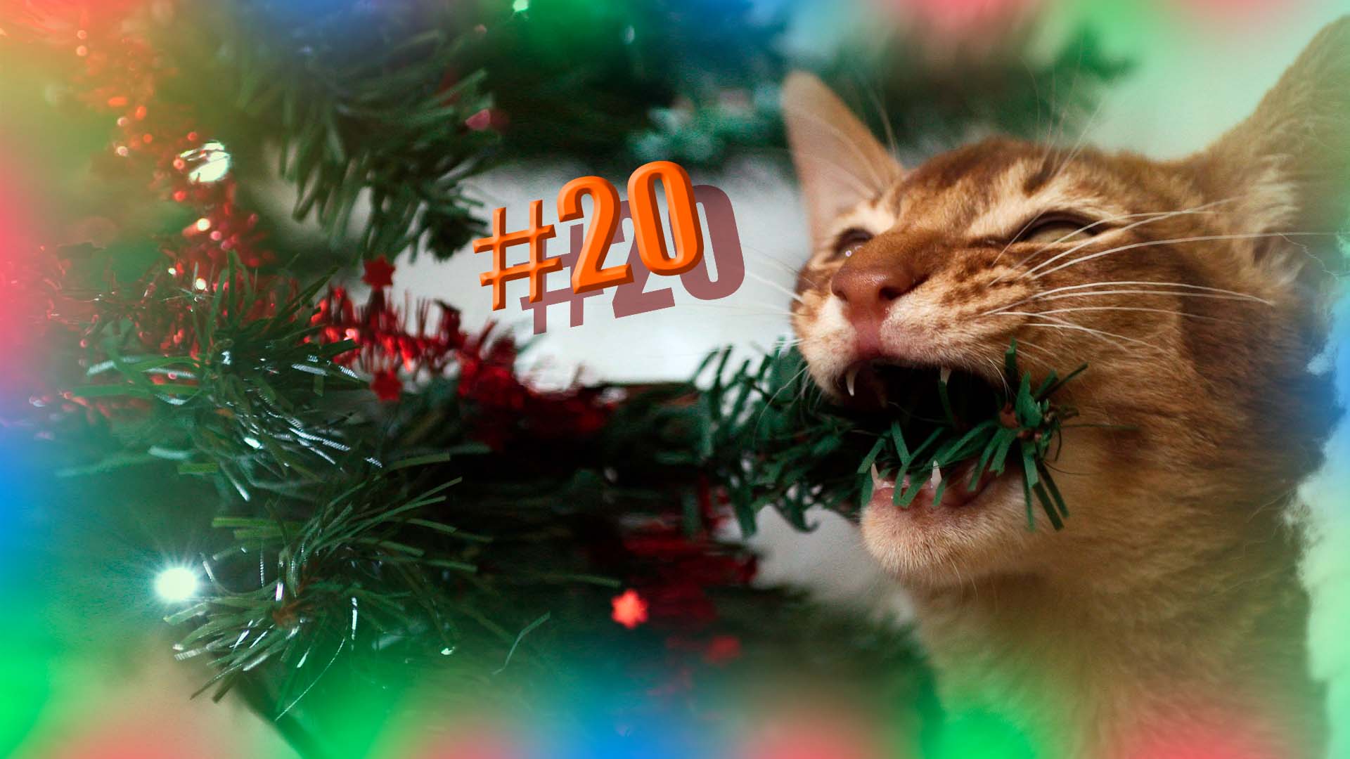 600 секунд Смеха ? Смешных моментов | Милые котики Приколы с котами ? Смешные коты #20 смотреть онлайн