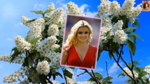 Очень красивая песня!!! Милая Алёнушка! Посвящается всем Алёнушкам!