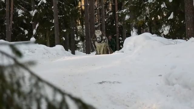Валдай Эко Клуб зима 2018 смотреть онлайн