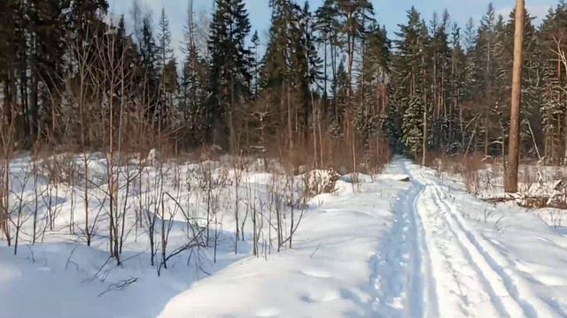 солнышко в Лосином острове смотреть онлайн