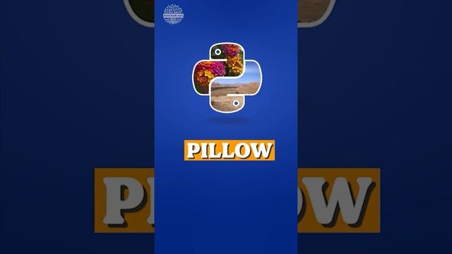 Top 5 Python libraries in 2023 смотреть онлайн