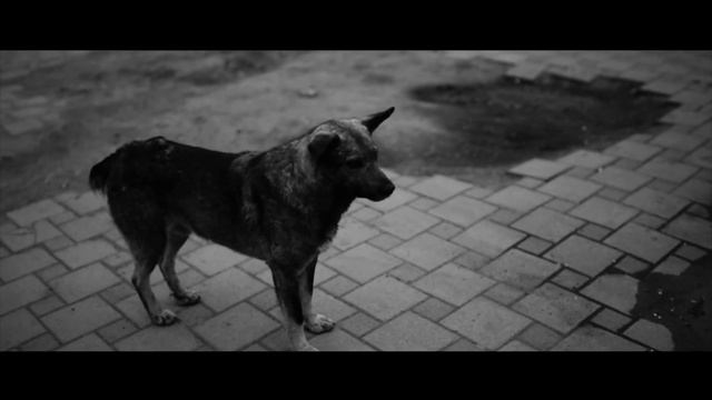 ГОЙДЫ 9 - Серые Будни смотреть онлайн